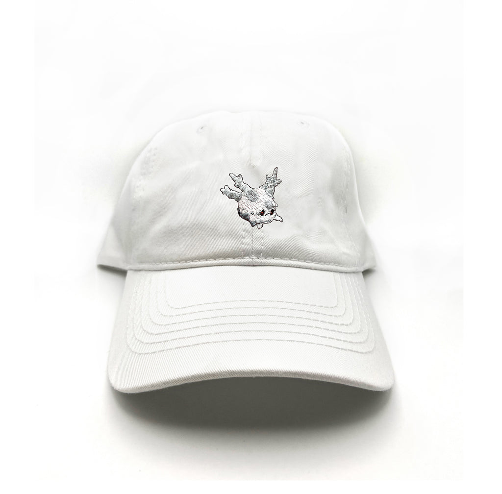 corsola dead dad hat