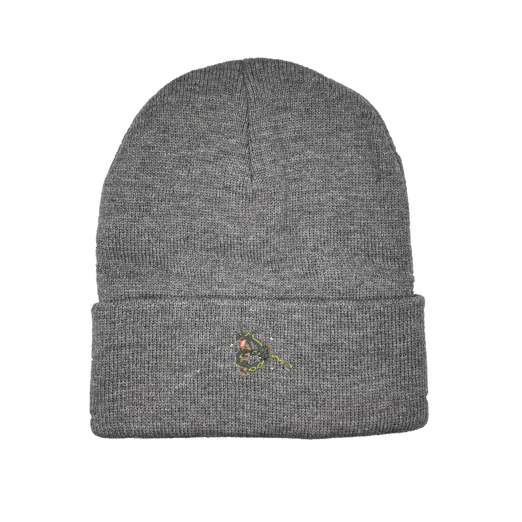 rayquaza shiny beanie