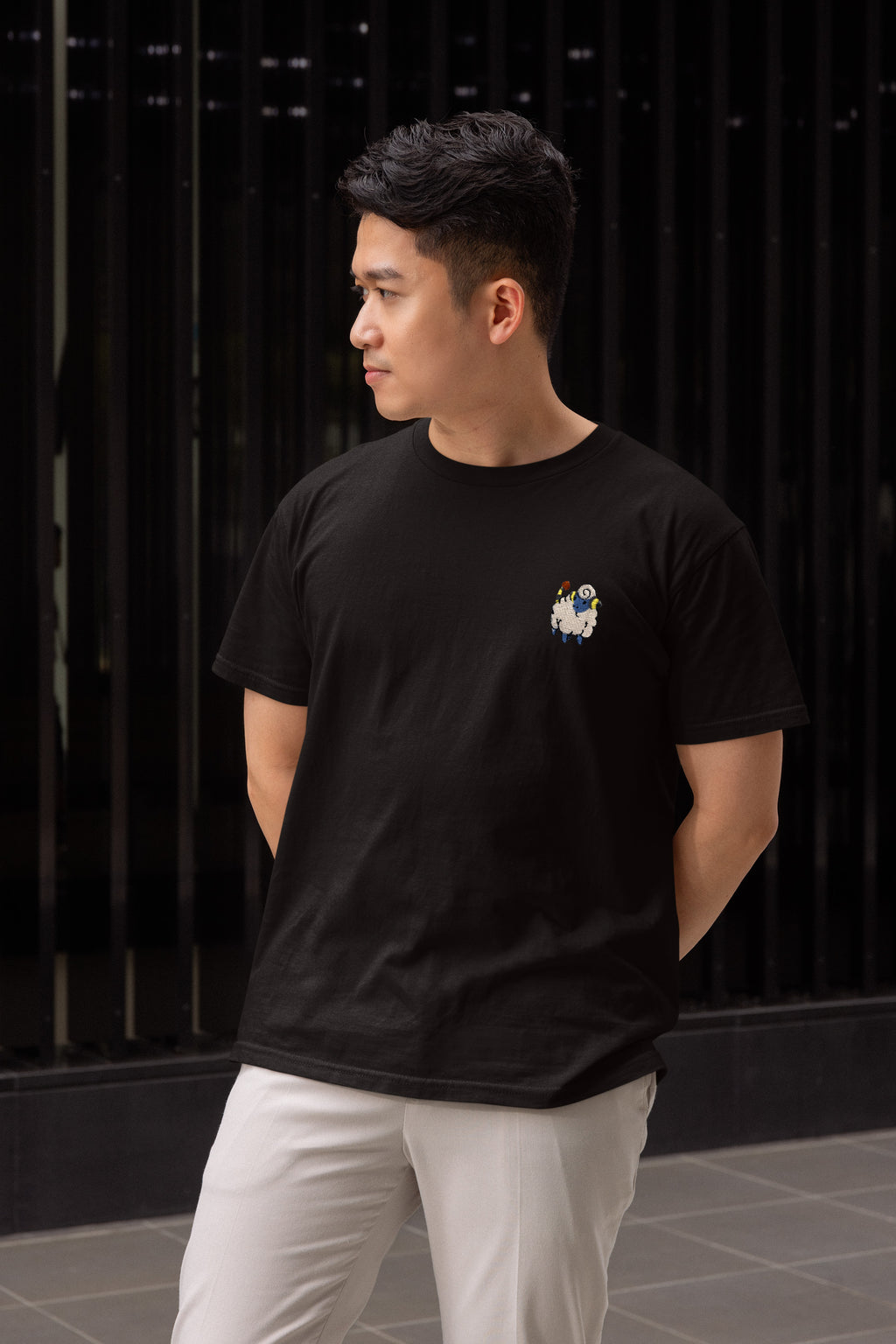 mareep tee shirt