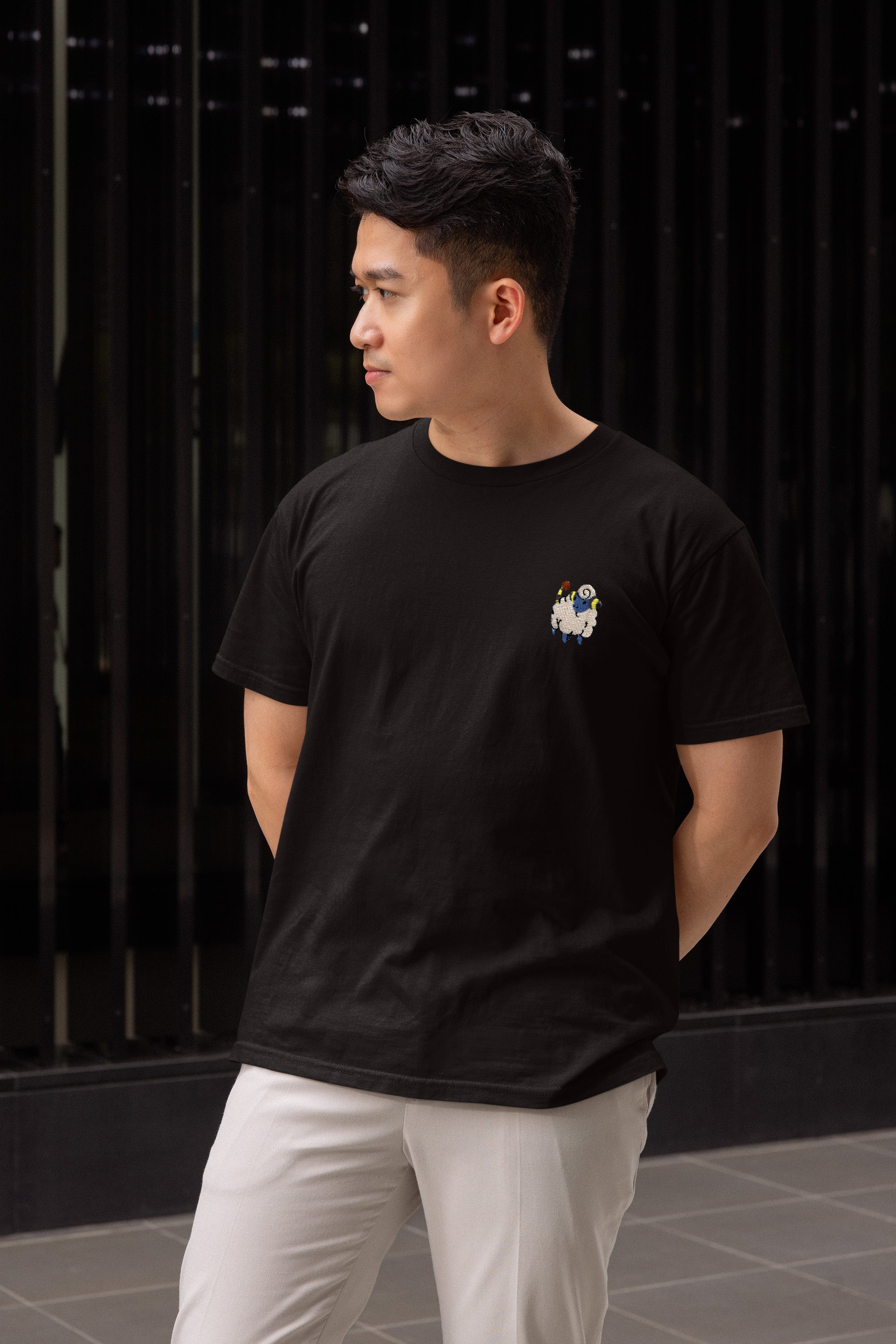 mareep tee shirt