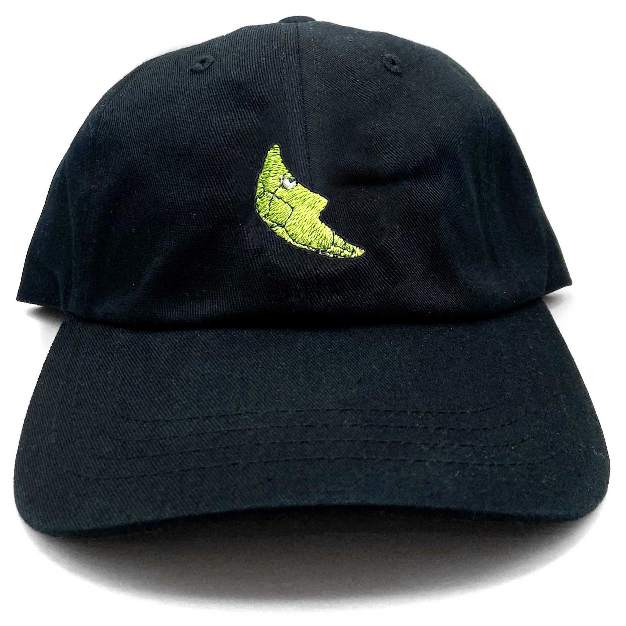 metapod dad hat