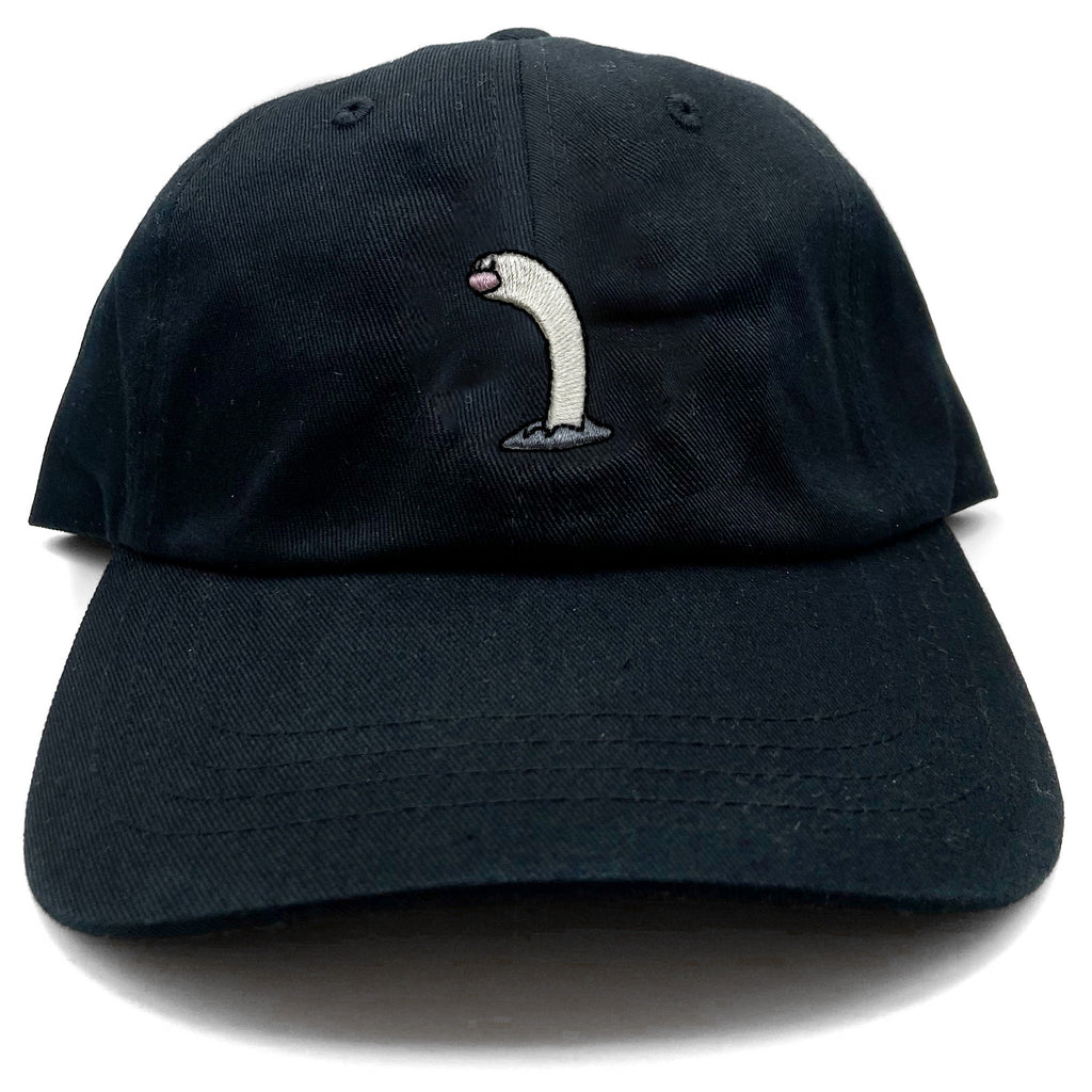 wiglett tall dad hat
