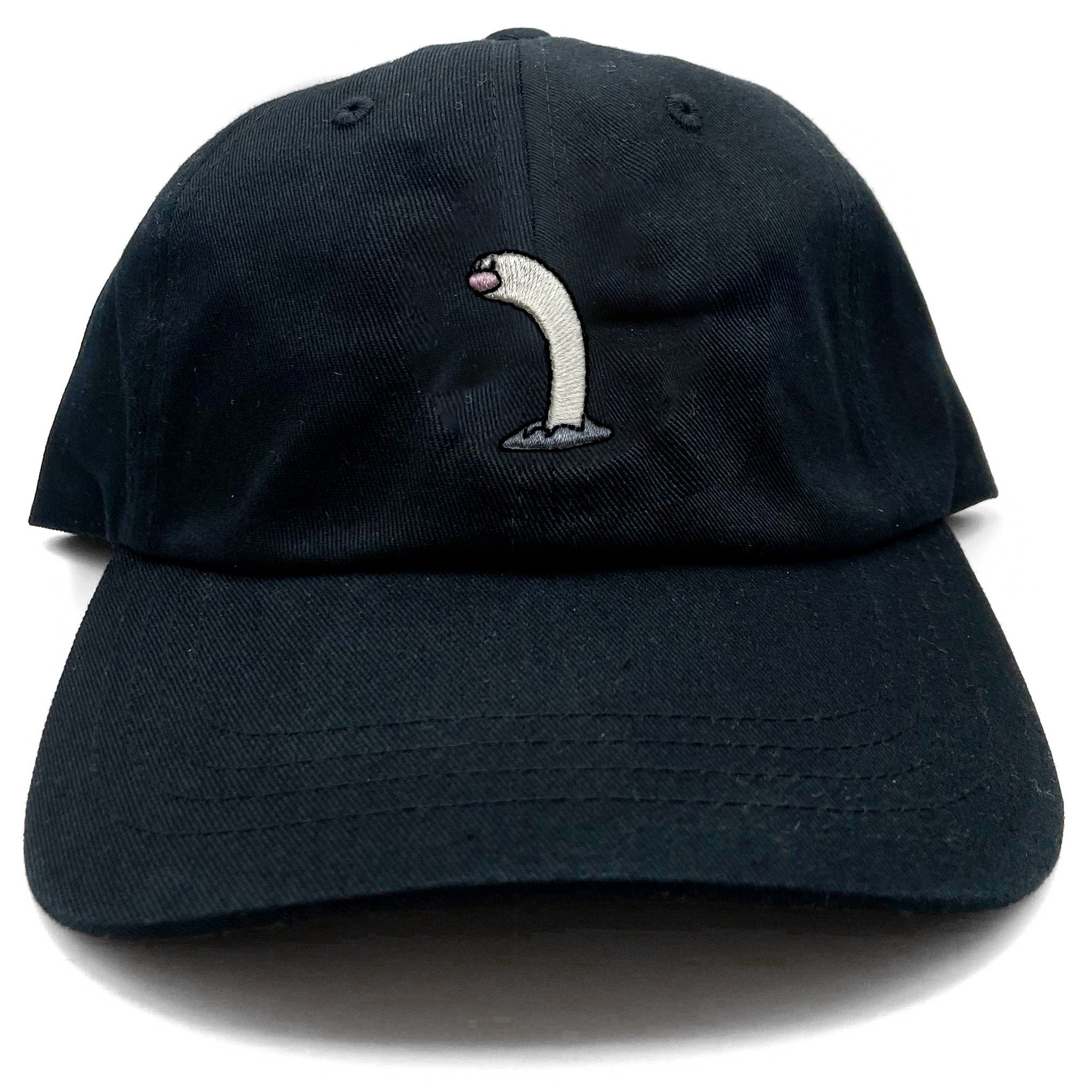 wiglett tall dad hat