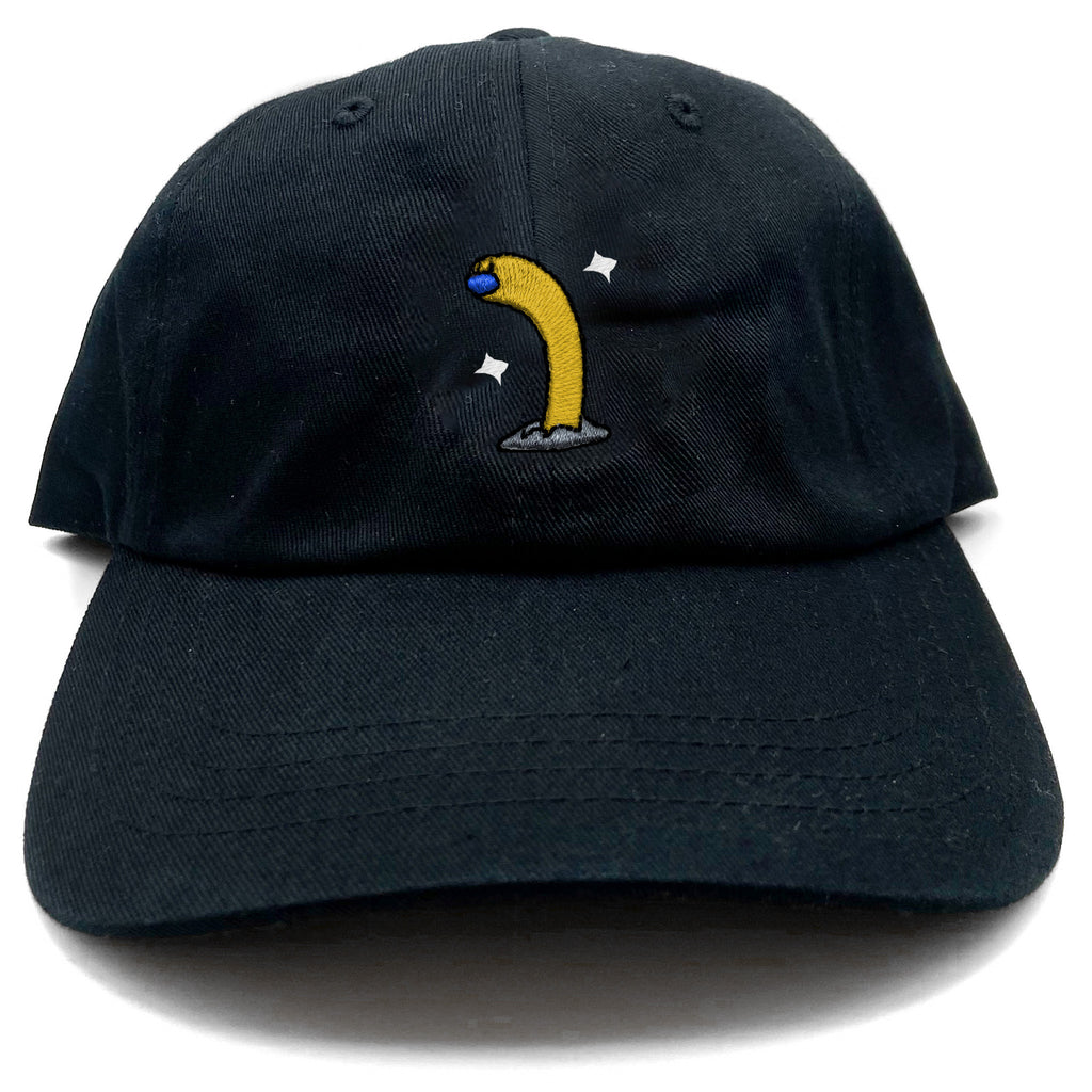wiglett tall shiny dad hat