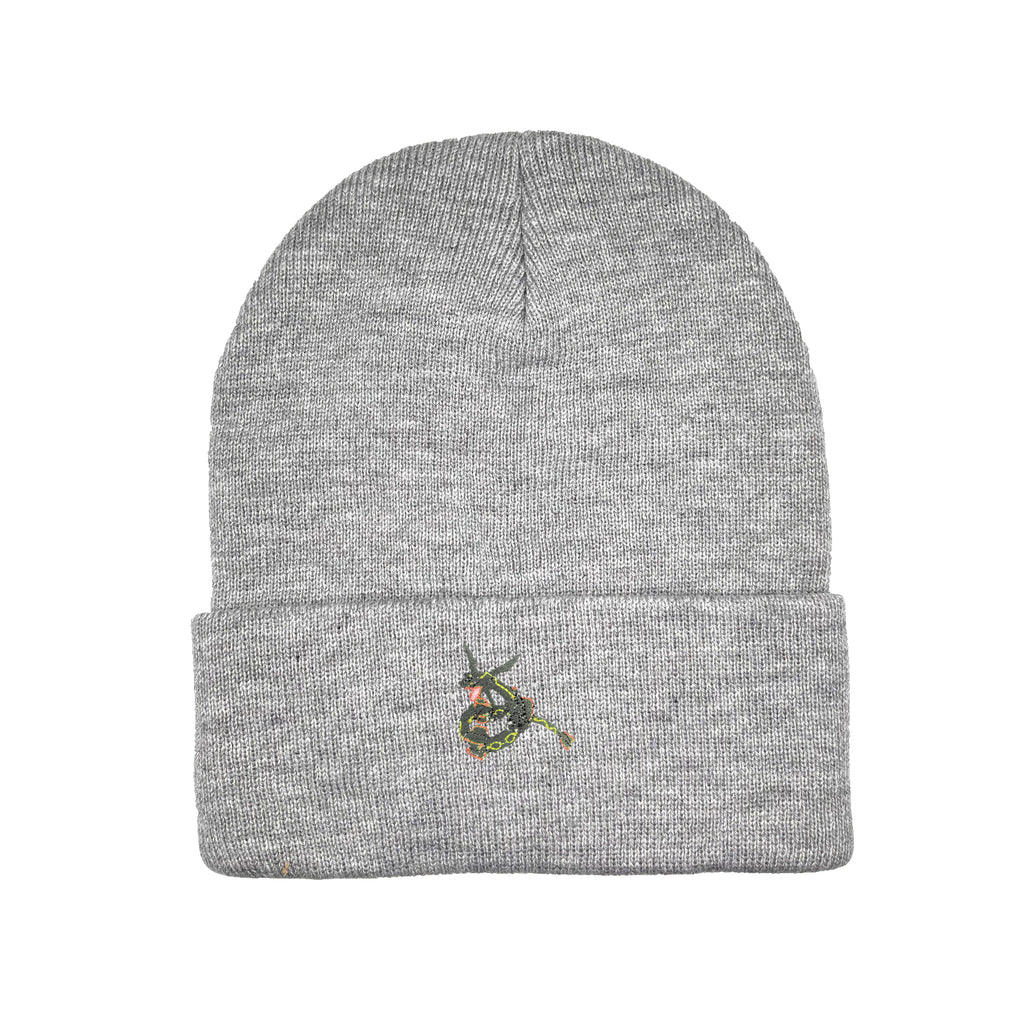 rayquaza shiny beanie