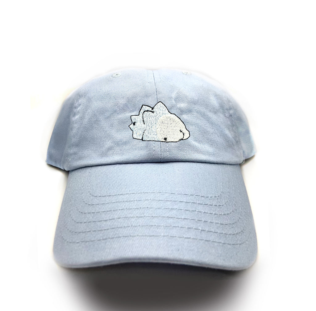 snom dad hat