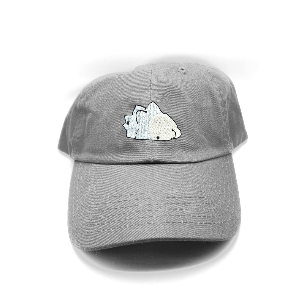 snom dad hat