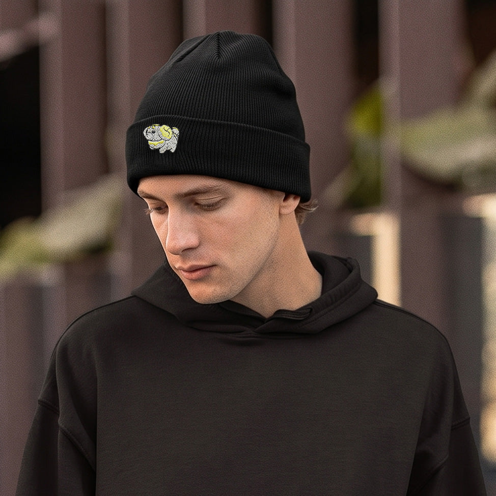 fidough beanie