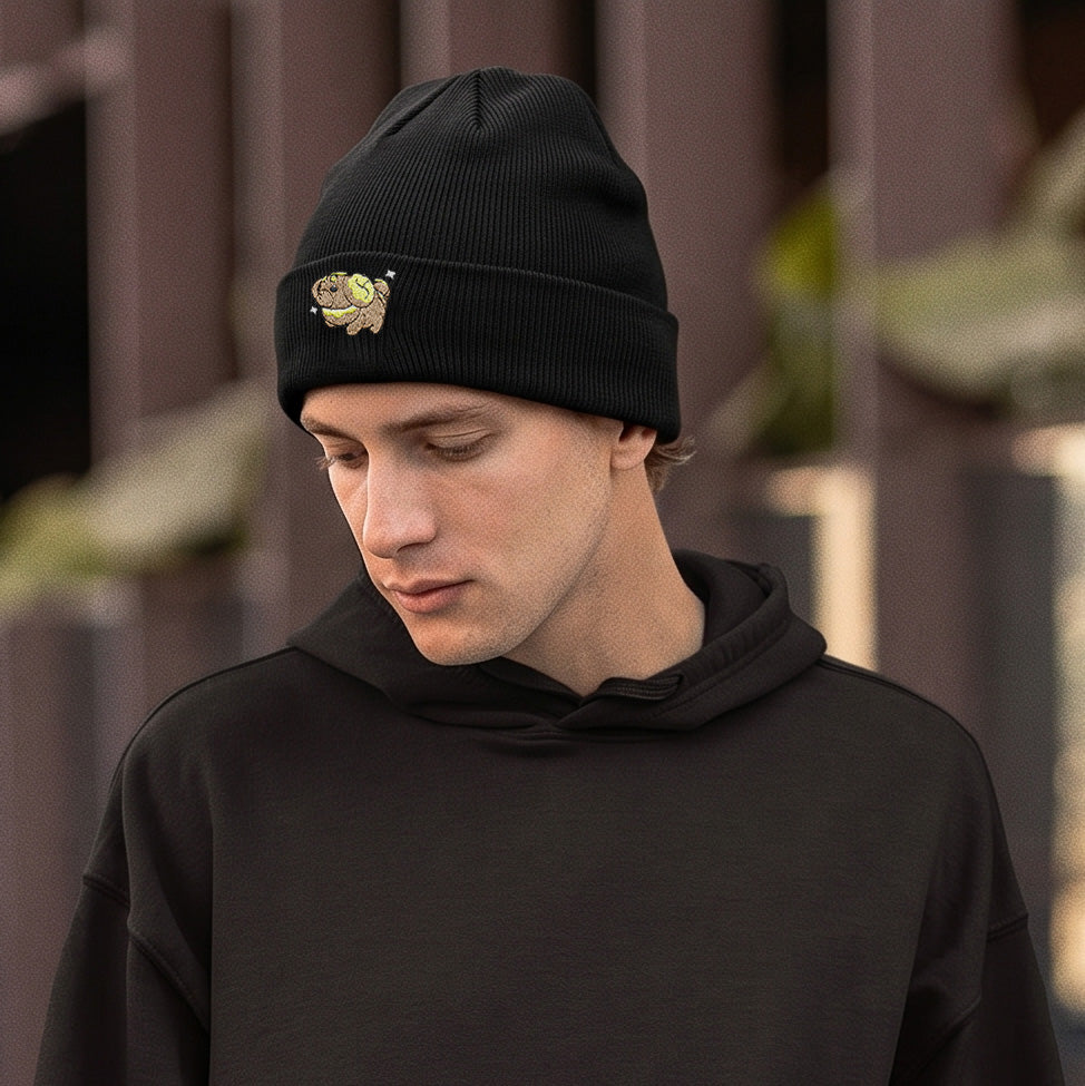 fidough shiny beanie