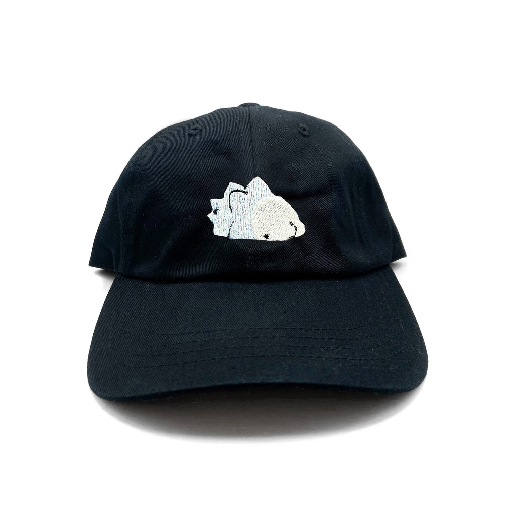 snom dad hat