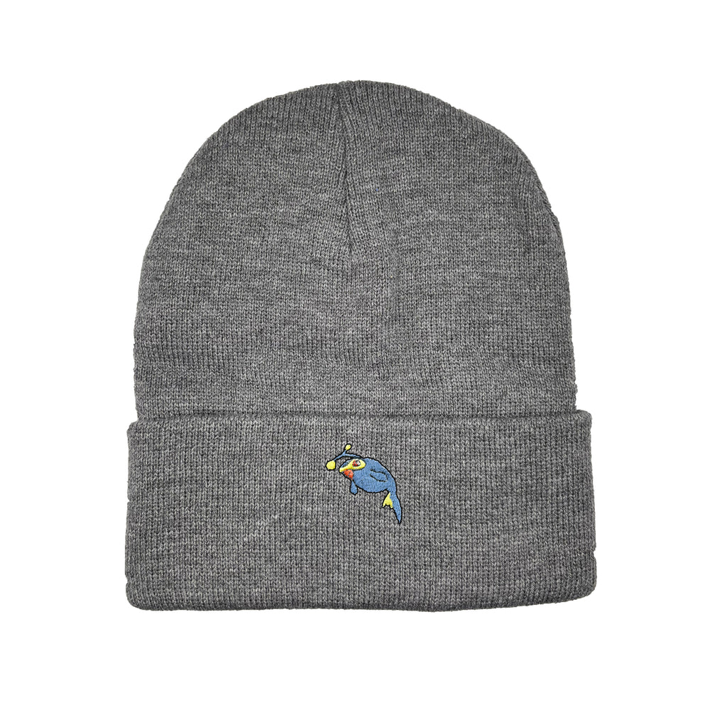 Lanturn beanie