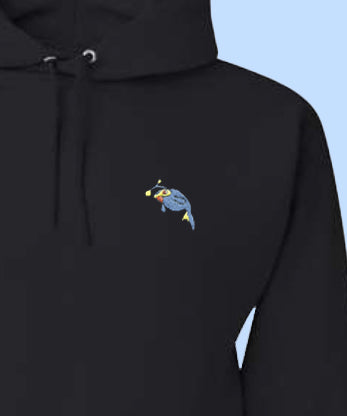 lanturn hoodie