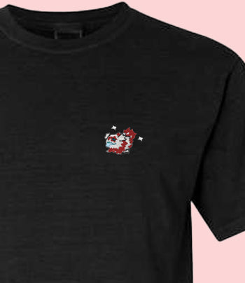 zigzagoon shiny tee shirt