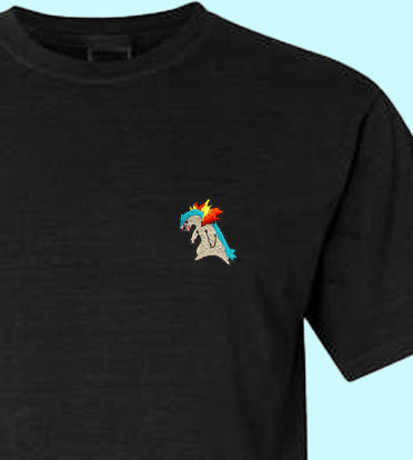 typhlosion tee shirt