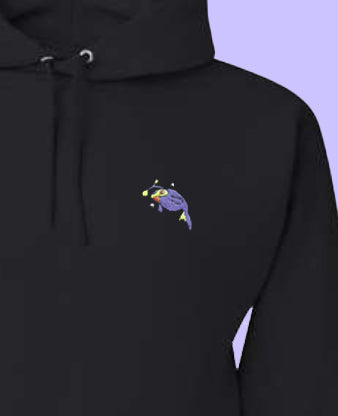 lanturn shiny hoodie