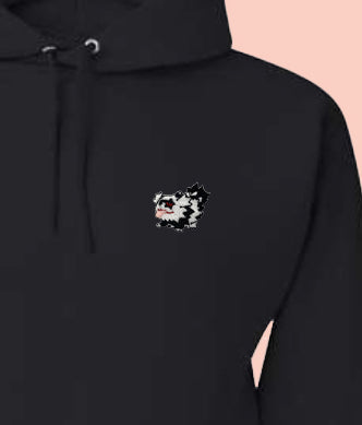 zigzagoon hoodie