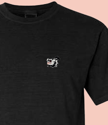 zigzagoon tee shirt