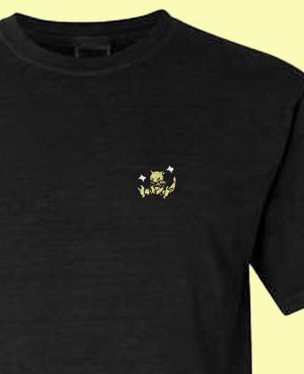 abra shiny tee shirt