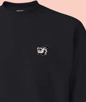 zigzagoon sweatshirt