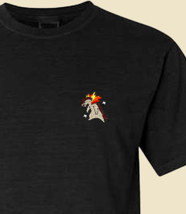 typhlosion shiny tee shirt