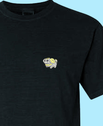fidough tee shirt
