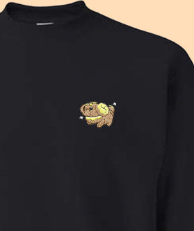 fidough shiny sweatshirt