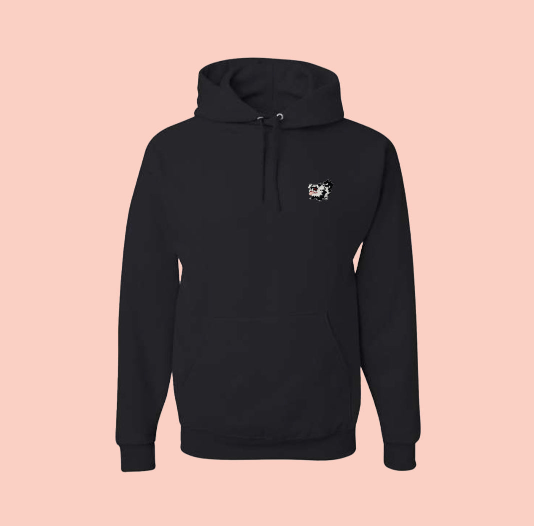 zigzagoon hoodie