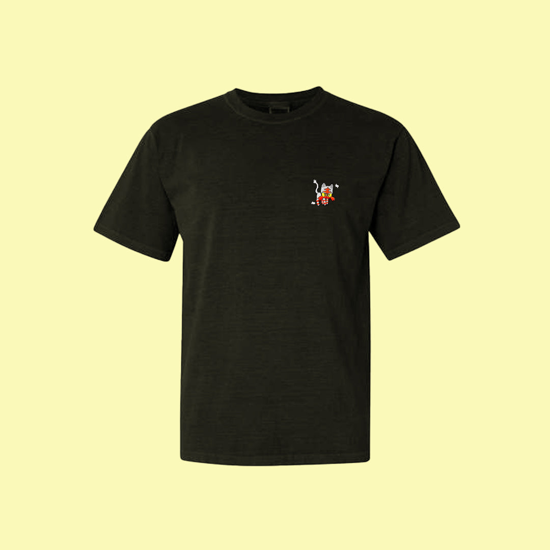 litten shiny tee shirt