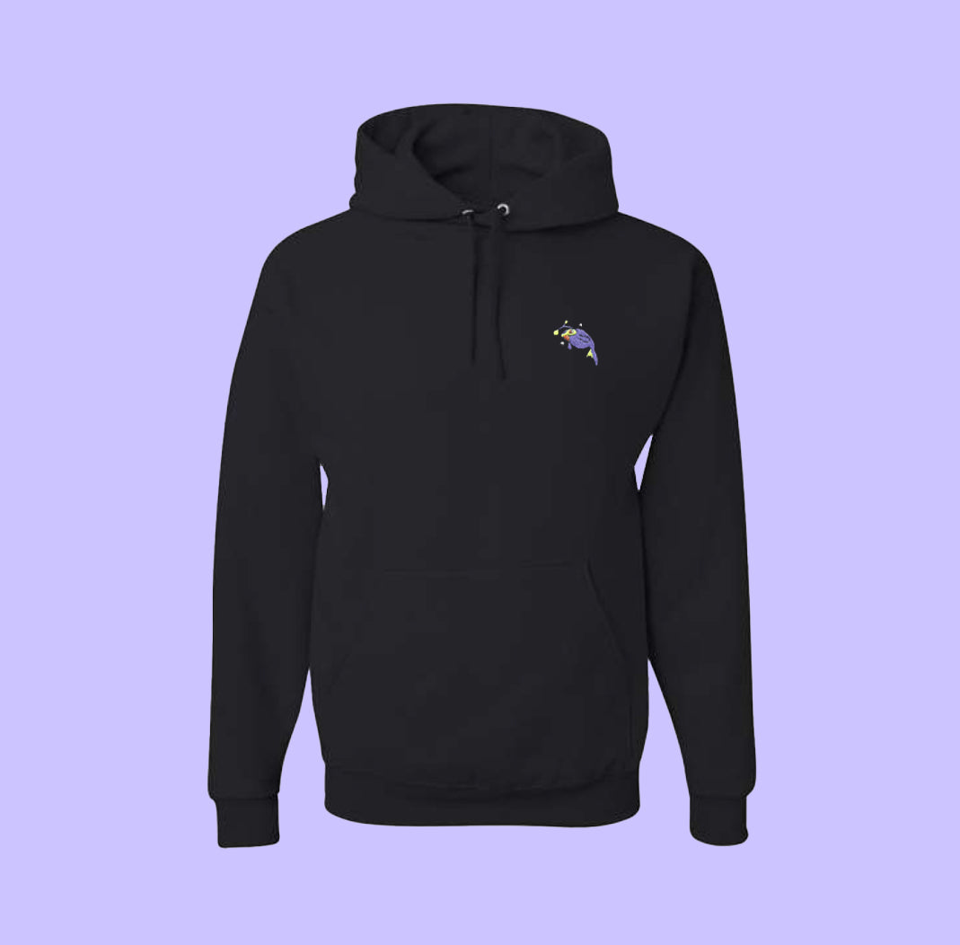 lanturn shiny hoodie