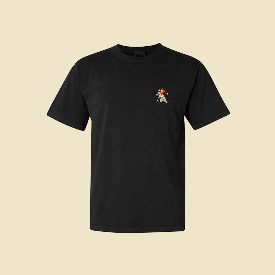 typhlosion shiny tee shirt