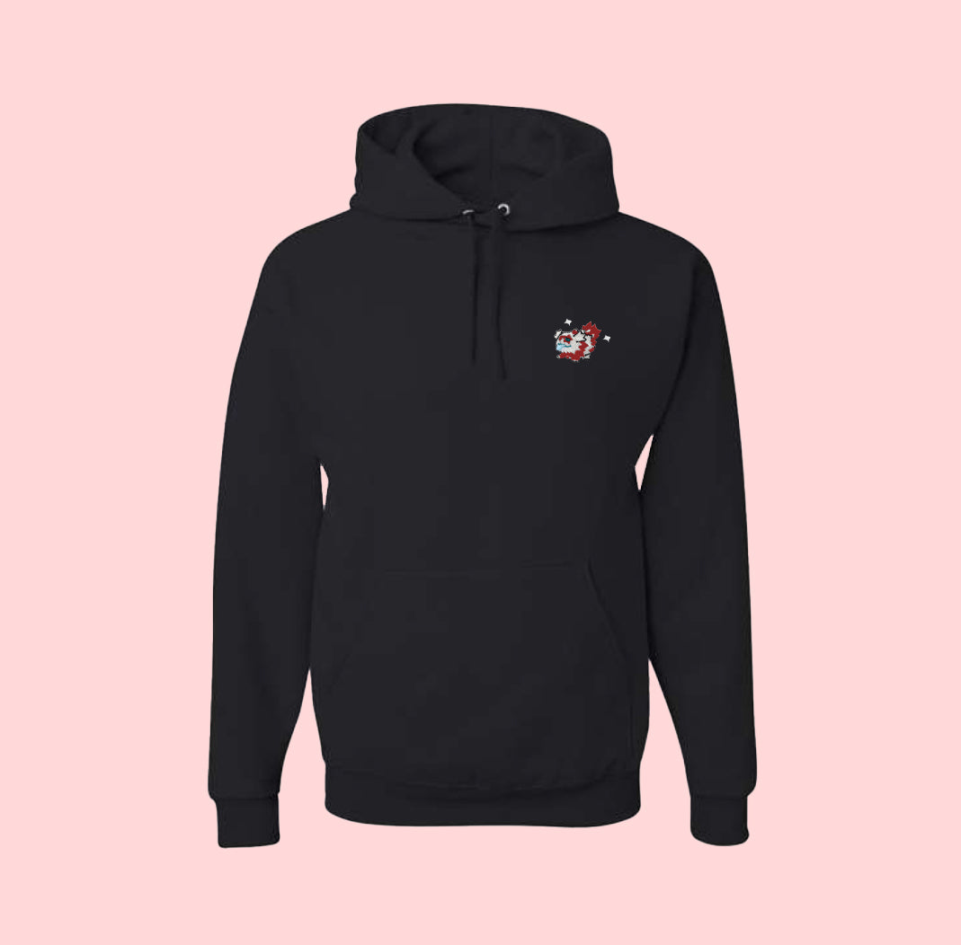 zigzagoon shiny hoodie
