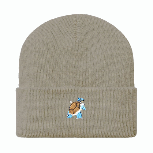 blastoise beanie