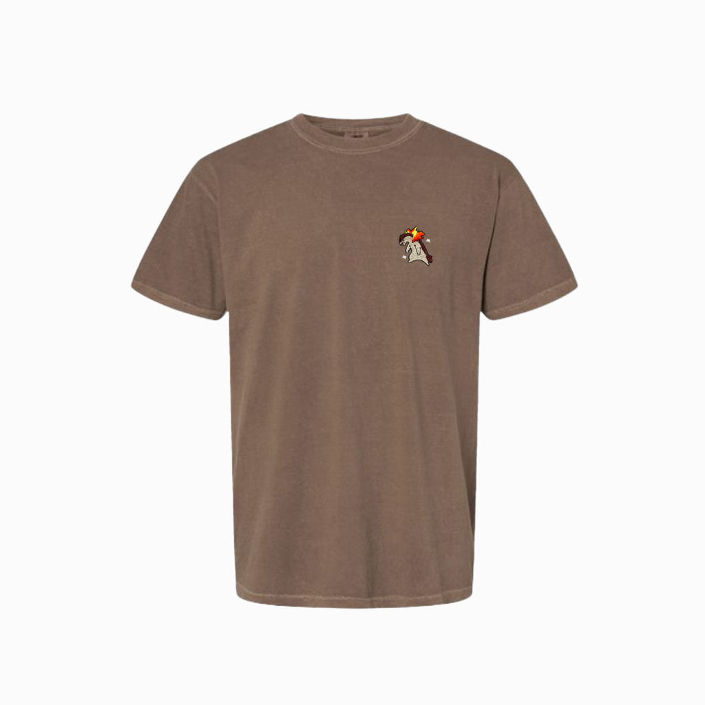 typhlosion shiny tee shirt