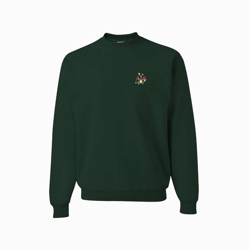 charizard shiny sweatshirt