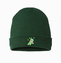 turtwig shiny beanie