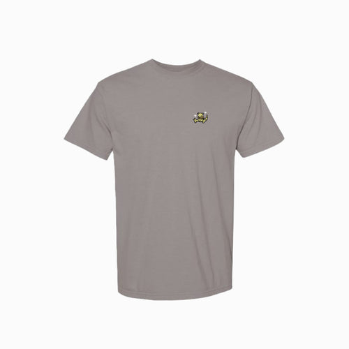 abra shiny tee shirt