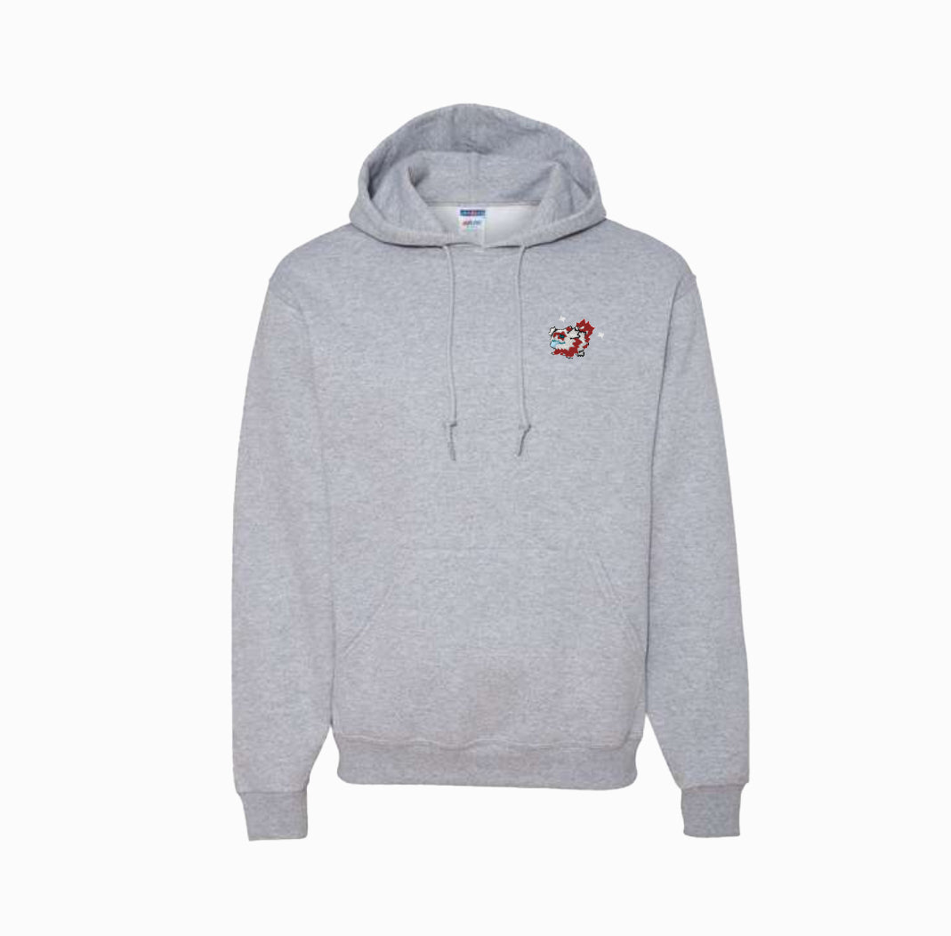 zigzagoon shiny hoodie