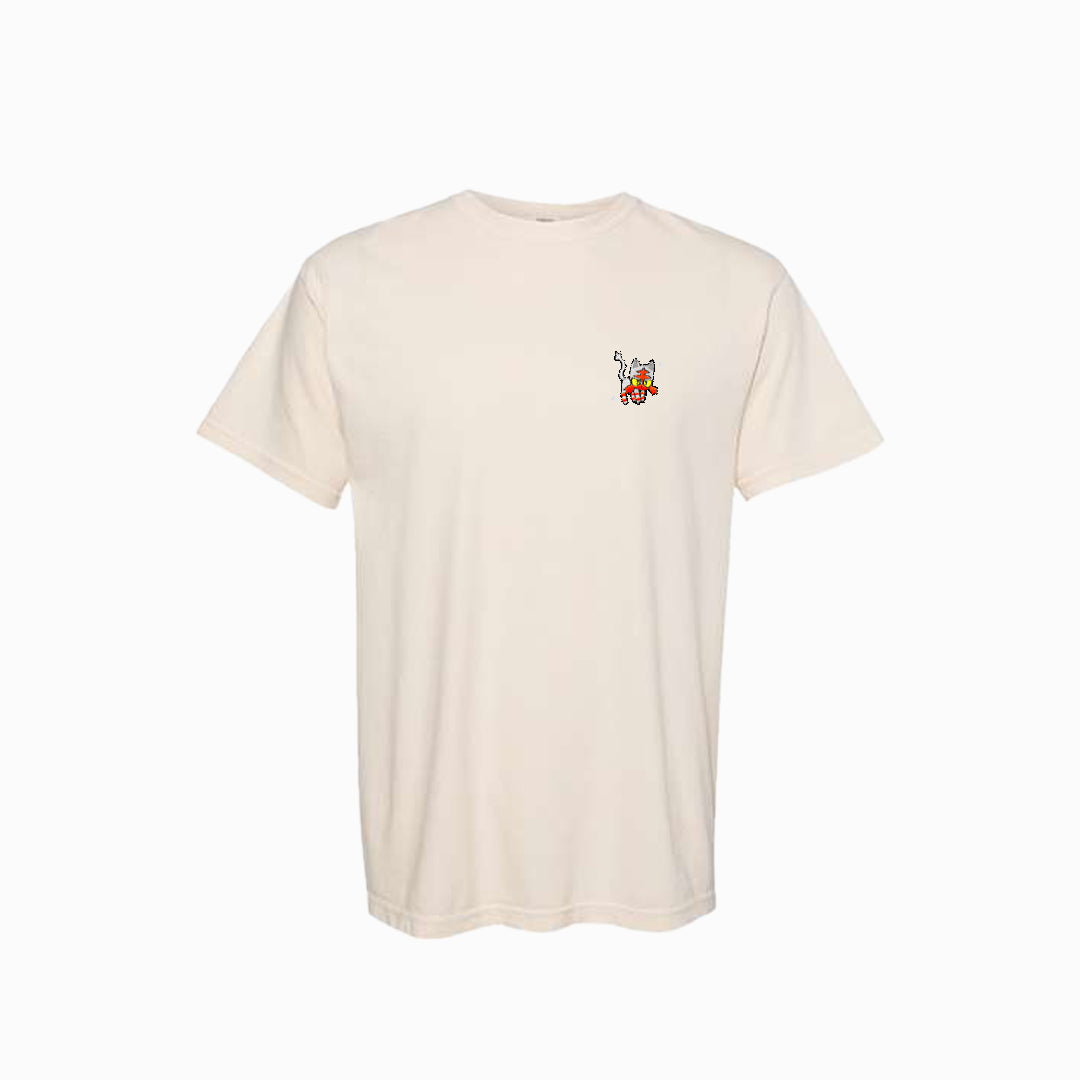 litten shiny tee shirt