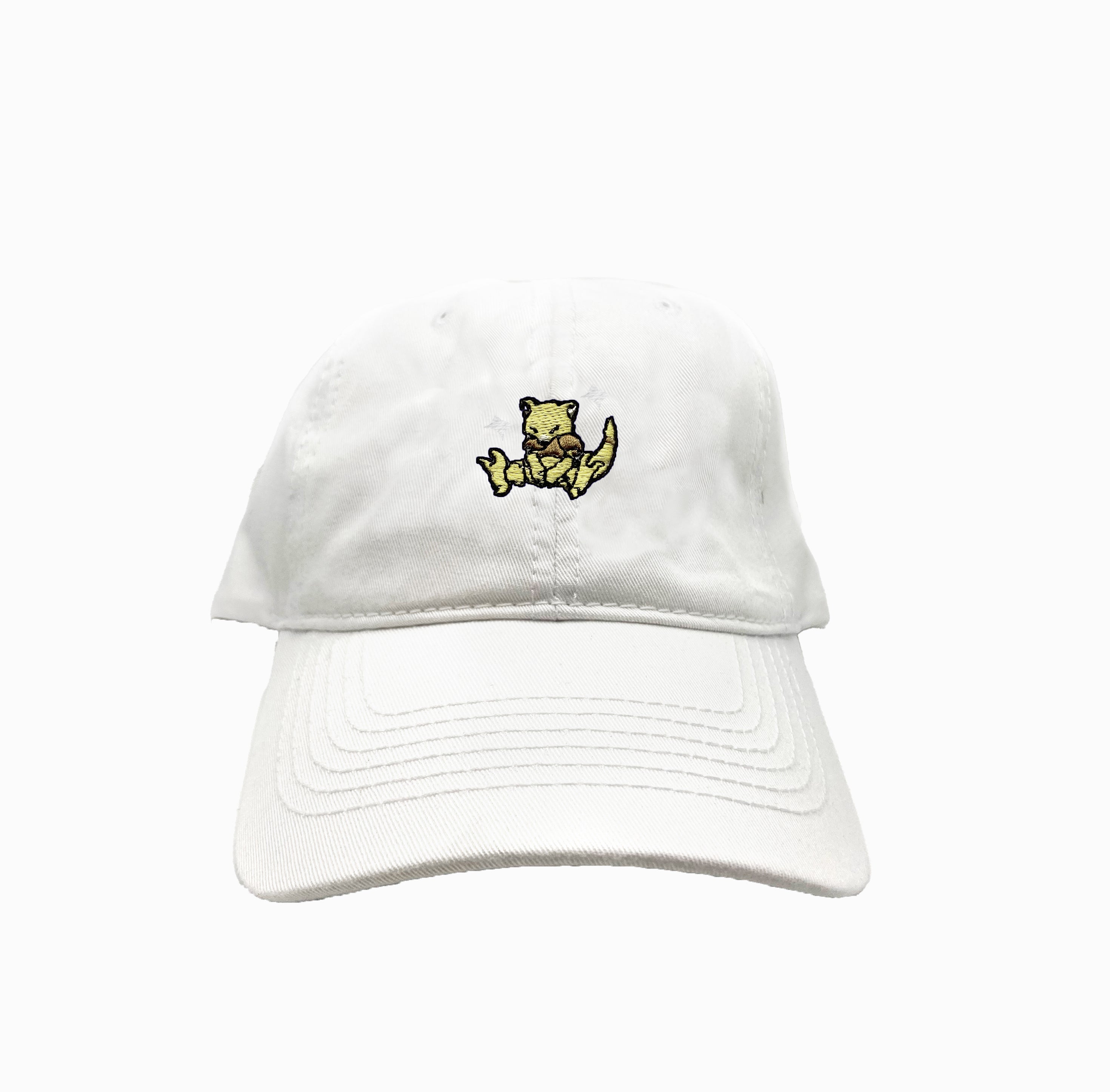 abra shiny dad hat
