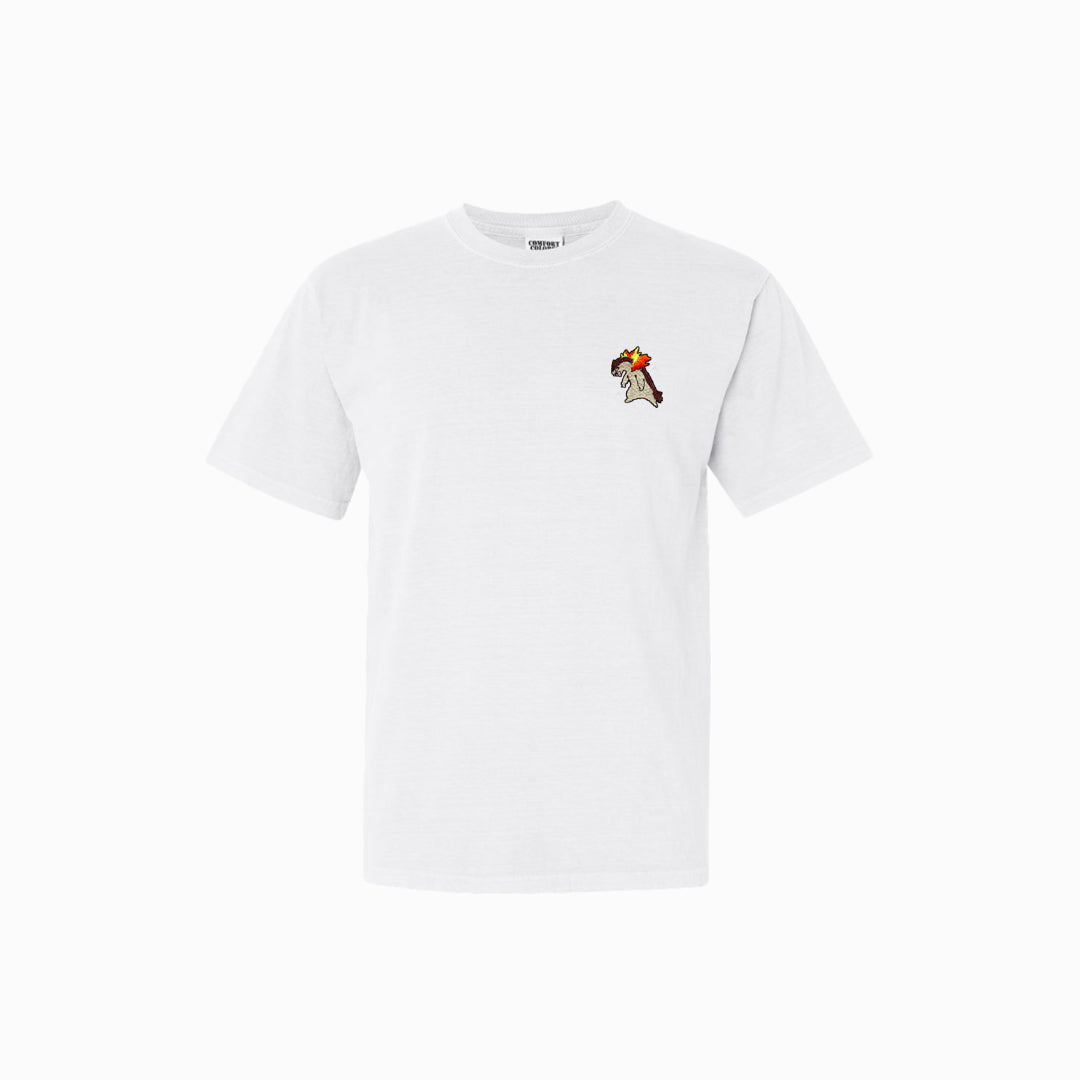 typhlosion shiny tee shirt