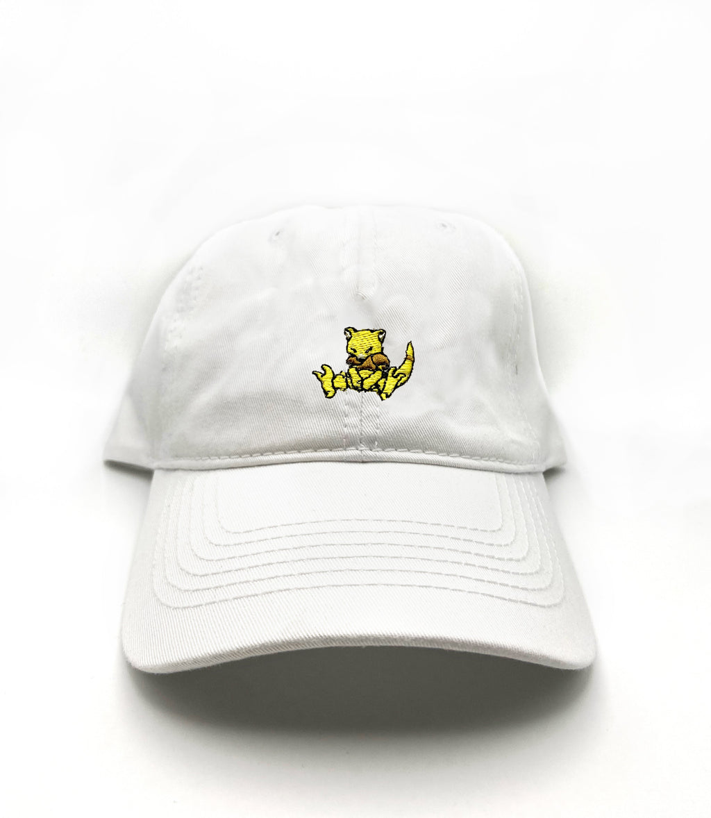 Abra dad hat