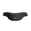 charmander sk8 fanny pack