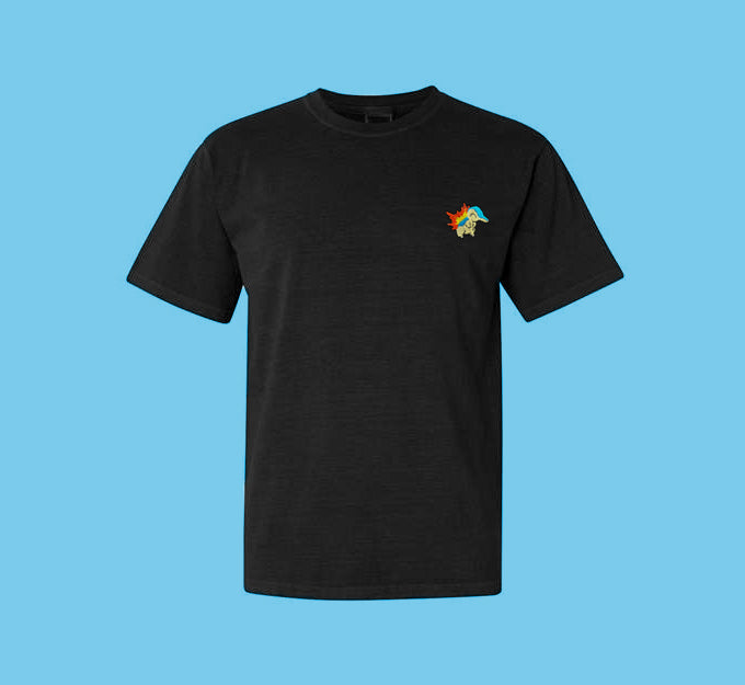 cyndaquil tee shirt