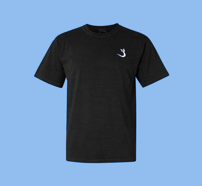 dratini tee shirt