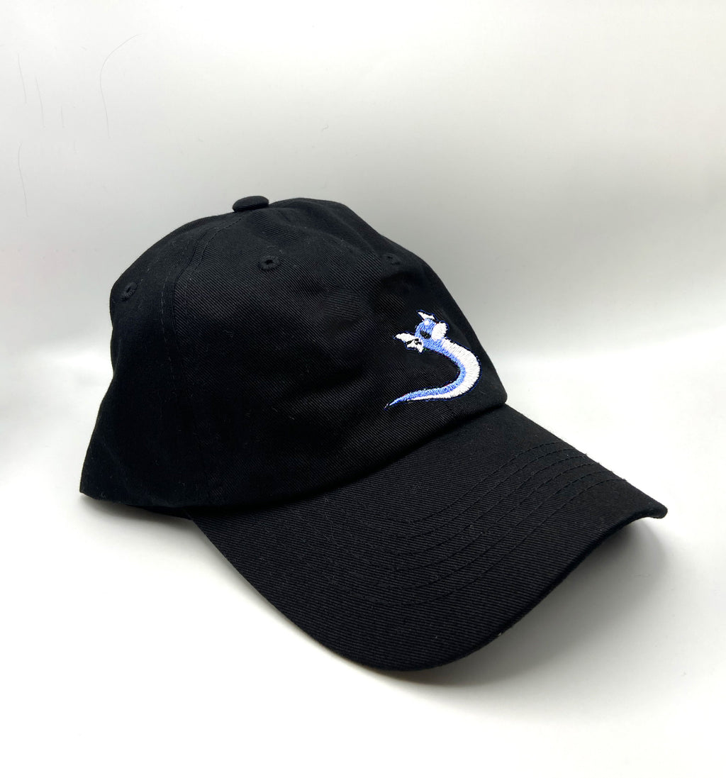 dratini dad hat