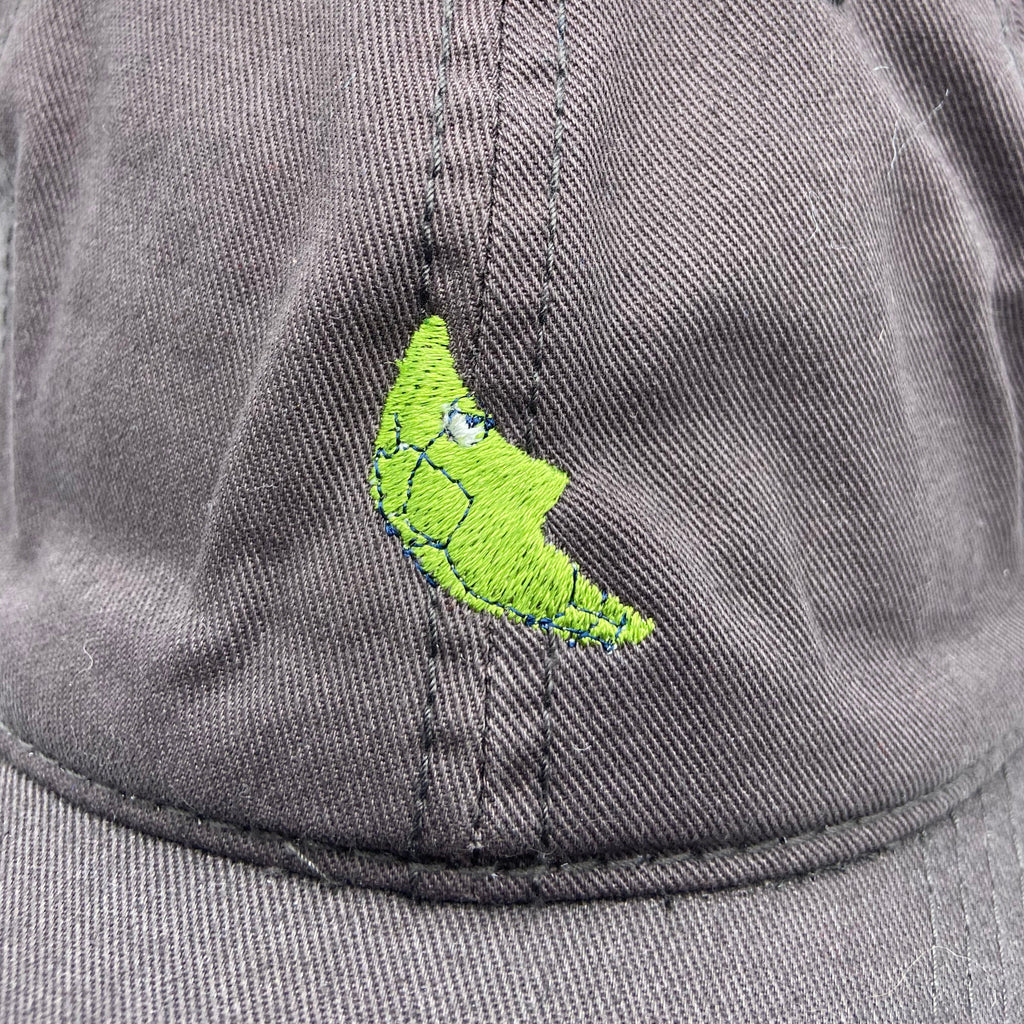 metapod dad hat
