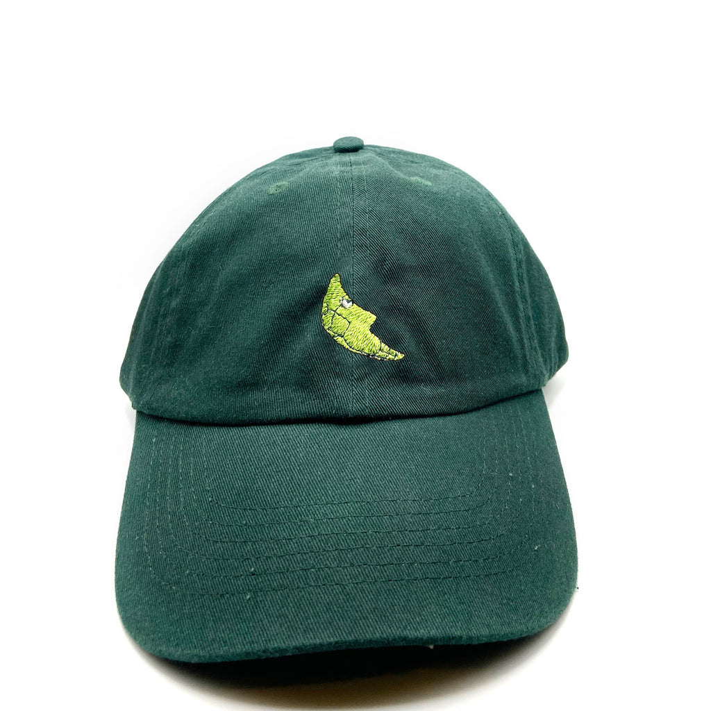metapod dad hat