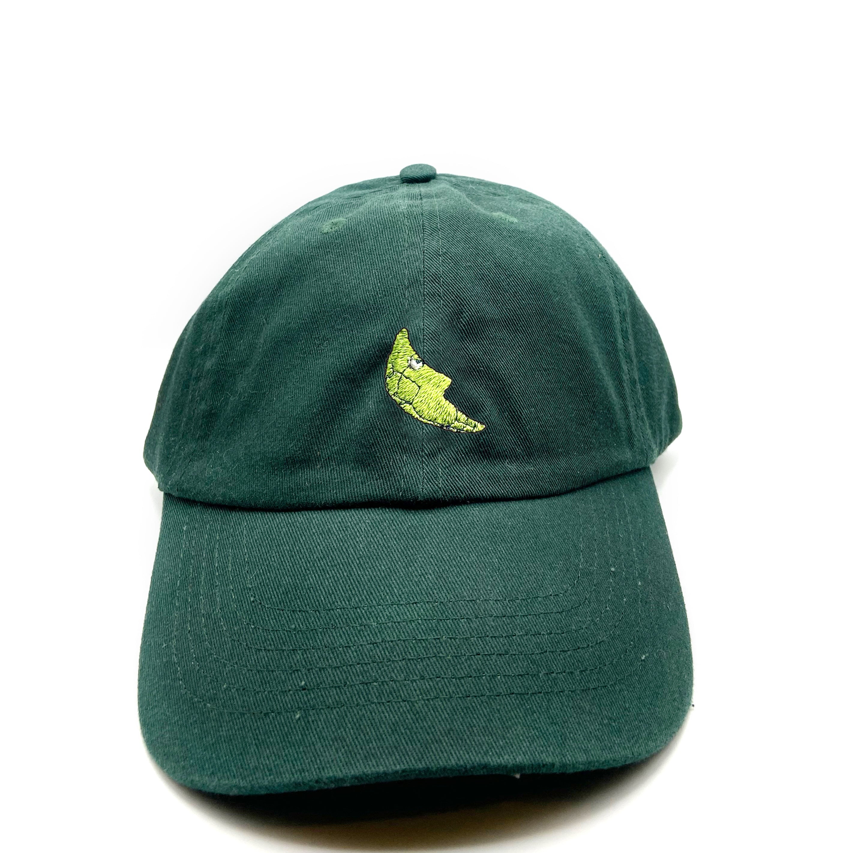 metapod dad hat
