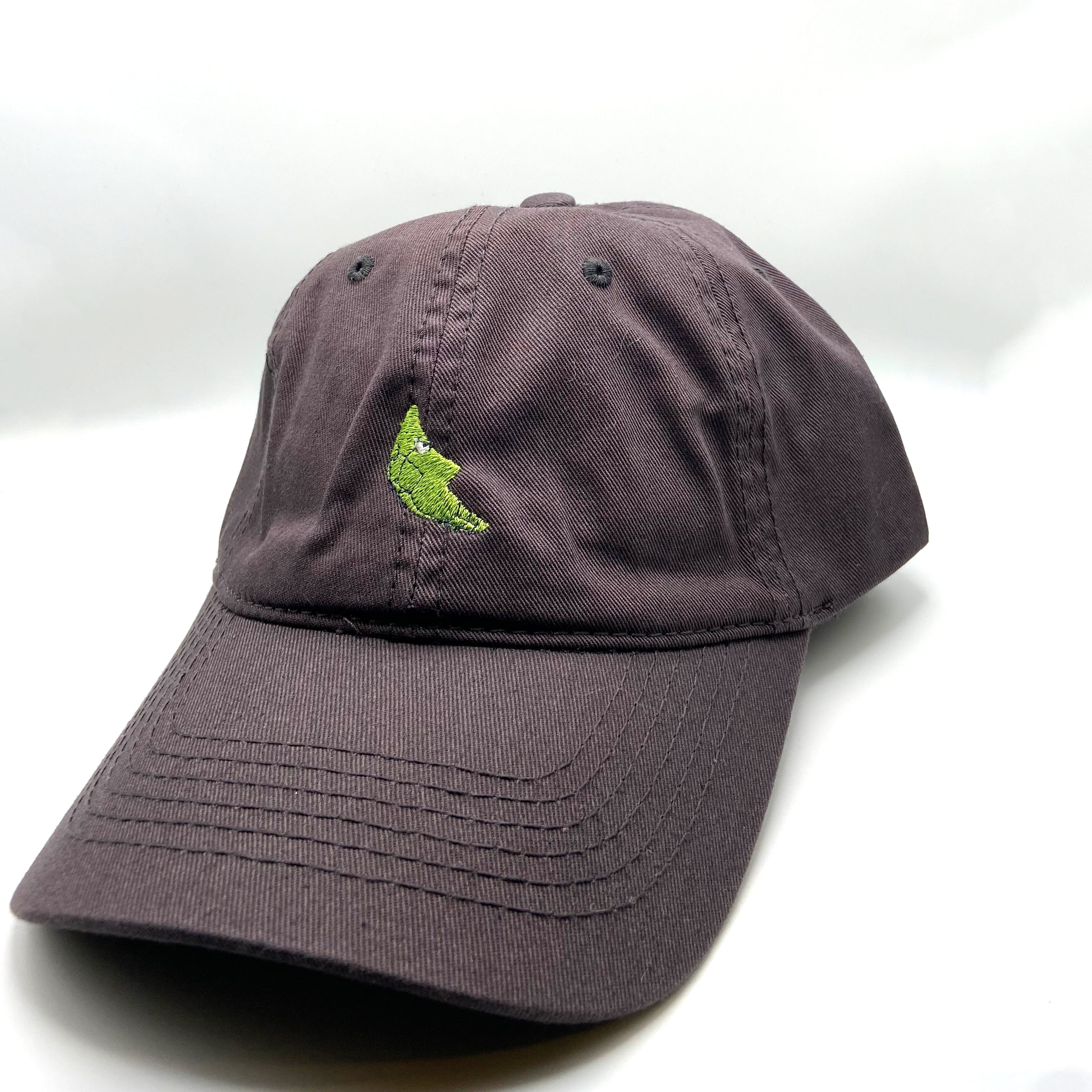 metapod dad hat