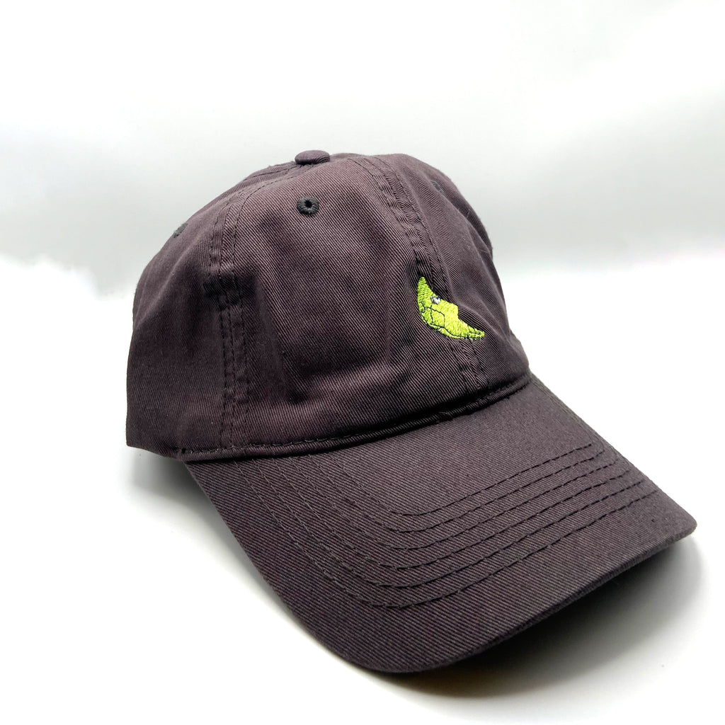 metapod dad hat
